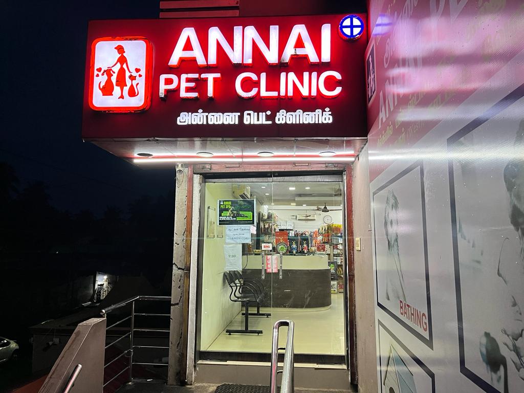 Pet Clinic In Katpadi Vellore