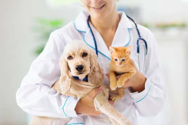 veterinary doctors