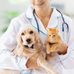 animal doctor in vellore